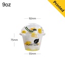 9oz Clear PET Plastic Ice Cream Cup 1000/ctn