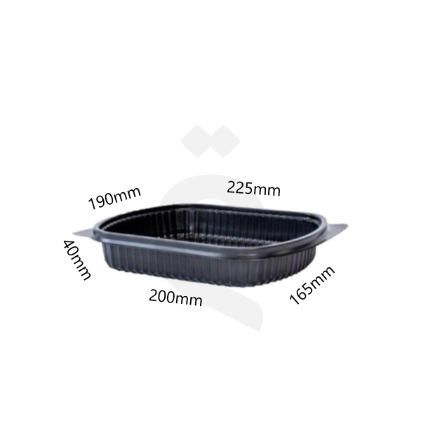 PP Plastic Rectangular Box 250/ctn