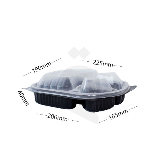 [006008] PP Plastic Rectangular Box Divided Into 3 Sections 250/ctn