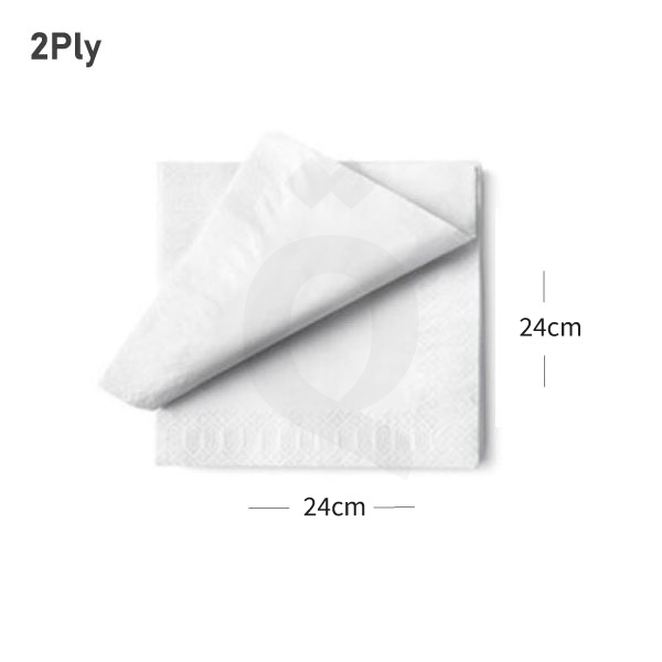 White Paper Napkin 24x24cm 2Ply 2400/ctn
