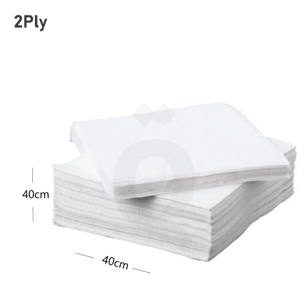 [009005] White Paper Napkin 40x40cm 2Ply 2000/ctn