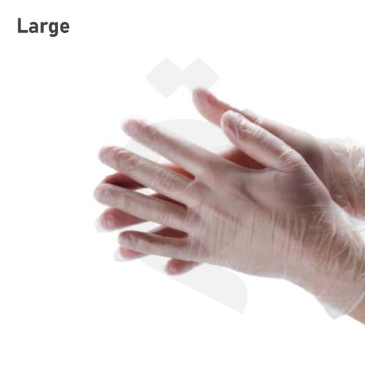 [008004] Large Clear Vinyl Gloves 1000/ctn