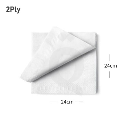 [009001] White Paper Napkin 24x24cm 2Ply 2400/ctn
